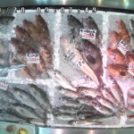 磯貝鮮魚店（鮮魚１）のライブカメラ|新潟県糸魚川市のサムネイル