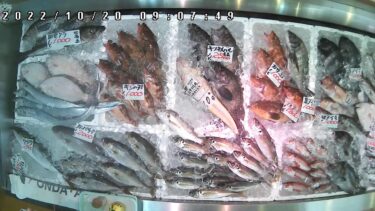 磯貝鮮魚店ライブカメラ3（鮮魚１）のライブカメラ|新潟県糸魚川市