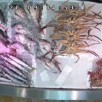 磯貝鮮魚店（鮮魚２）のライブカメラ|新潟県糸魚川市のサムネイル