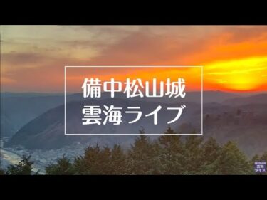 備中松山城雲海展望台から雲海のライブカメラ|岡山県高梁市
