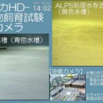 ヒラメ等海洋生物飼育試験のライブカメラ|福島県大熊町のサムネイル