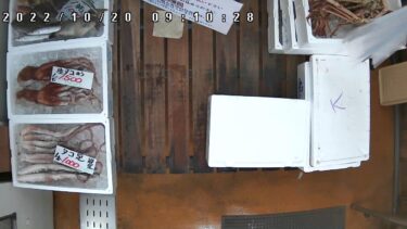 磯貝鮮魚店ライブカメラ6（鮮魚３）のライブカメラ|新潟県糸魚川市