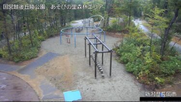国営越後丘陵公園 あそびの里森林エリアのライブカメラ|新潟県長岡市