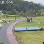 国営越後丘陵公園 暖の館のライブカメラ|新潟県長岡市のサムネイル