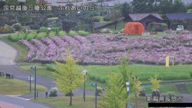 国営越後丘陵公園 ふれあいの丘のライブカメラ|新潟県長岡市