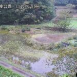 国営越後丘陵公園 山の水辺区のライブカメラ|新潟県長岡市のサムネイル