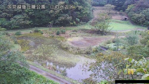 国営越後丘陵公園 山の水辺区のライブカメラ|新潟県長岡市のサムネイル