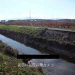 花田川 花田川橋のライブカメラ|岐阜県大野町のサムネイル