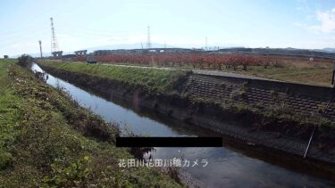 花田川 花田川橋のライブカメラ|岐阜県大野町