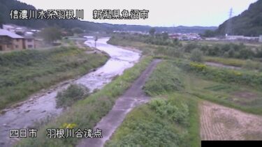 羽根川 破間川合流点のライブカメラ|新潟県魚沼市