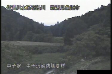 羽根川 中子沢砂防堰堤群のライブカメラ|新潟県魚沼市
