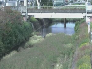 滋賀県栗東市 葉山川 中沢大橋のライブカメラ