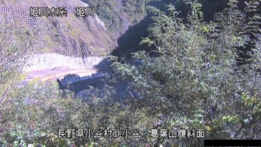 姫川 葛葉山腹斜面のライブカメラ|長野県小谷村