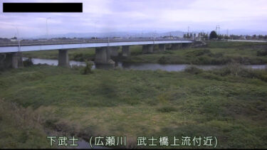 広瀬川 武士橋上流のライブカメラ|群馬県伊勢崎市