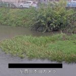 糸貫川 本田のライブカメラ|岐阜県瑞穂市のサムネイル