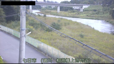 鏑川 桐渕橋上流のライブカメラ|群馬県富岡市