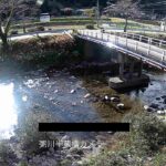 粥川 半蔵橋のライブカメラ|岐阜県郡上市のサムネイル