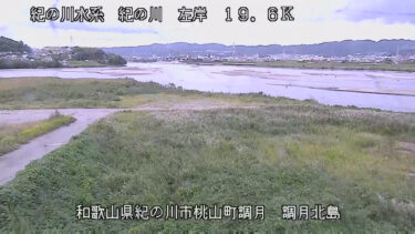 紀の川 調月北島のライブカメラ|和歌山県紀の川市