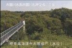 木曽川 木曽成戸水位観測所のライブカメラ|岐阜県海津市のサムネイル