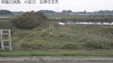小貝川 上郷水位観測所のライブカメラ|茨城県常総市