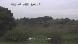 茨城県つくばみらい市 小貝川 つくばみらい市樛木のライブカメラ