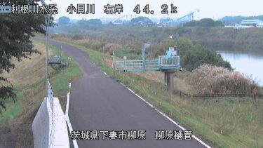 小貝川 柳原樋管のライブカメラ|茨城県下妻市