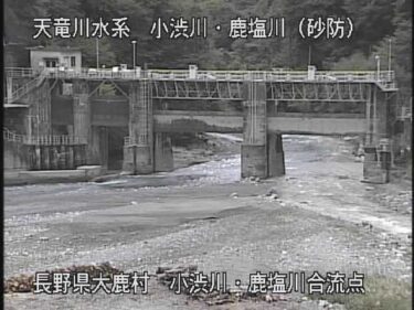 小渋川 鹿塩川合流点のライブカメラ|長野県大鹿村のサムネイル