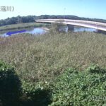 涸沼川 涸沼大橋のライブカメラ|茨城県茨城町のサムネイル