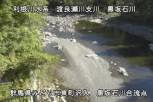 群馬県みどり市 黒坂石川 黒坂石川合流点のライブカメラ