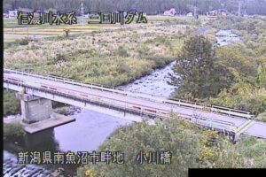 新潟県南魚沼市 三国川 小川橋 （小川橋付近）のライブカメラ