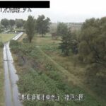 美和ダム 榛原公園のライブカメラ|長野県伊那市のサムネイル