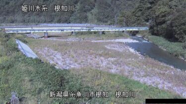 根知川 根知川合流点のライブカメラ|新潟県糸魚川市