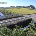 西仁連川 善長寺橋のライブカメラ|茨城県結城市のサムネイル