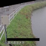 犀川 森のライブカメラ|岐阜県瑞穂市のサムネイル