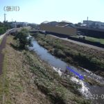 桜川 桜橋 岩瀬のライブカメラ|茨城県桜川市のサムネイル