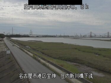 庄内川 庄内新川橋下流のライブカメラ|愛知県名古屋市