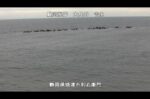 駿河海岸 吉永のライブカメラ|静岡県焼津市のサムネイル