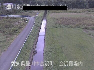 豊川 金沢霞堤内付近のライブカメラ|愛知県豊川市のサムネイル