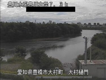 豊川 大村樋門付近のライブカメラ|愛知県豊橋市のサムネイル