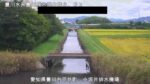 豊川放水路 小坂井排水機場付近のライブカメラ|愛知県豊川市のサムネイル
