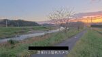 津保川 小屋名のライブカメラ|岐阜県関市のサムネイル