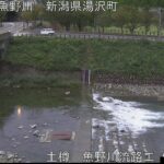 魚野川 大野原橋のライブカメラ|新潟県湯沢町のサムネイル