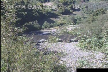 浦川 浦川スーパー暗渠えん堤のライブカメラ|長野県小谷村