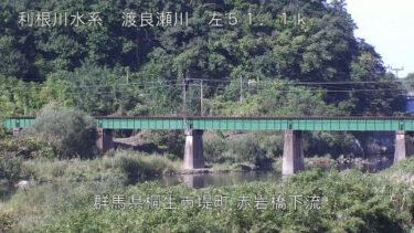 渡良瀬川 赤岩橋下流のライブカメラ|群馬県桐生市