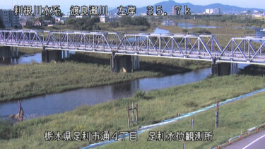 渡良瀬川 足利水位観測所のライブカメラ|栃木県足利市
