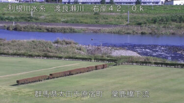 渡良瀬川 葉鹿橋下流のライブカメラ|群馬県太田市