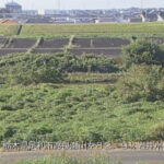 渡良瀬川 岩井水位観測所のライブカメラ|栃木県足利市のサムネイル