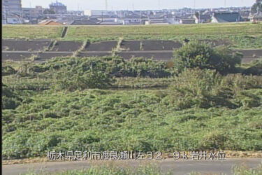 渡良瀬川 岩井水位観測所のライブカメラ|栃木県足利市