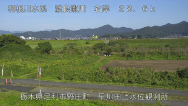 渡良瀬川 早川田上水位観測所のライブカメラ|栃木県足利市