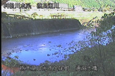 渡良瀬川 通洞大橋のライブカメラ|栃木県日光市